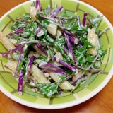 紫水菜ツナペンネサラダ